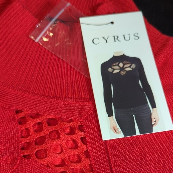 Cyrus Sweaters - Cyrus Vibrant Red Knit Top with Mesh Accents
